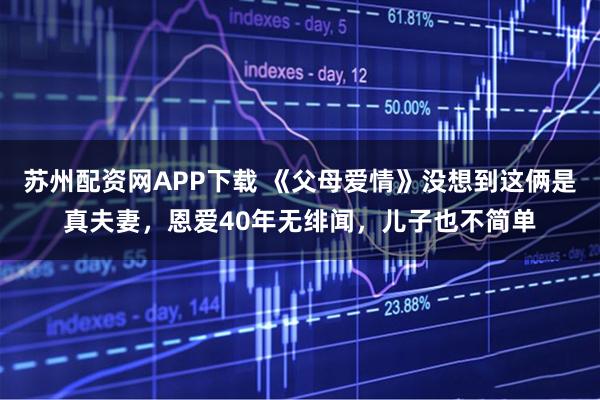 苏州配资网APP下载 《父母爱情》没想到这俩是真夫妻，恩爱40年无绯闻，儿子也不简单