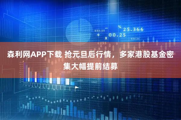 森利网APP下载 抢元旦后行情，多家港股基金密集大幅提前结募