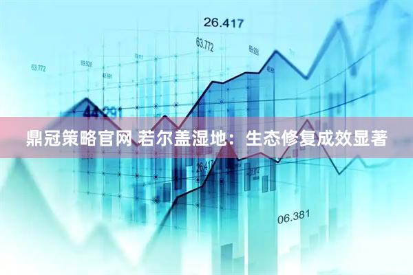 鼎冠策略官网 若尔盖湿地：生态修复成效显著